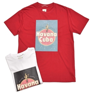 mando(マンドー)<br>コットンプリントクルーネックS/Sカットソー 8196-003 12181400037