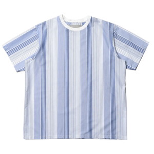 Casely Hayford(ケイスリー ヘイフォード)<br>FARID コットンポリエステルマルチストライプクルーネックS/STシャツ 175-62240001 12125400065